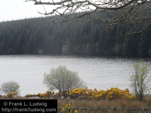 Lough Nasool Drained (2006)